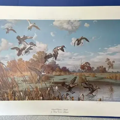 Winged Elegance - Pintails by Harry Curienux Adamson (Lithograph)