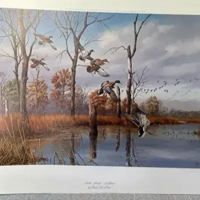 Sunlit Marsh - Mallards By David A. Maass