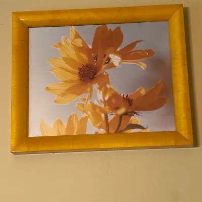 Sale Photo Thumbnail #160