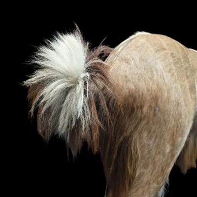 Sale Photo Thumbnail #744