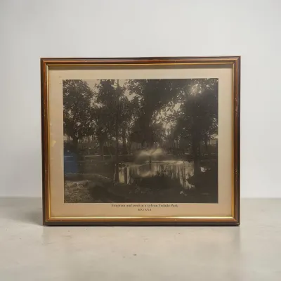 Sale Photo Thumbnail #656