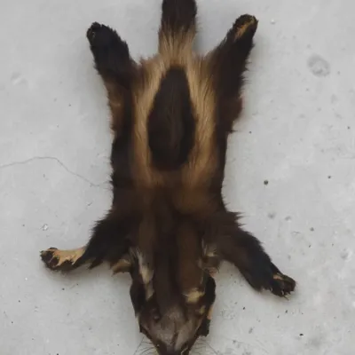 Sale Photo Thumbnail #730