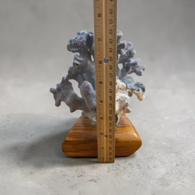 Sale Photo Thumbnail #583