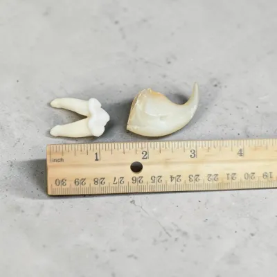 Sale Photo Thumbnail #579