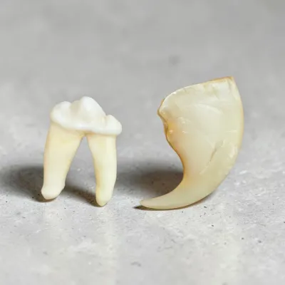 Sale Photo Thumbnail #578
