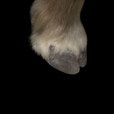 Sale Photo Thumbnail #742