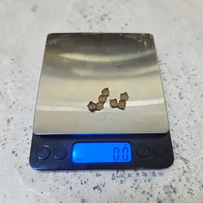 Sale Photo Thumbnail #288