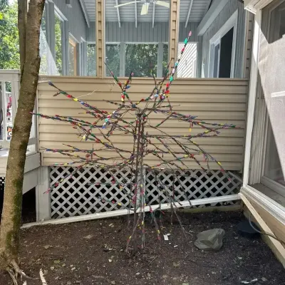 Outdoor Multicolor Lighted Tree