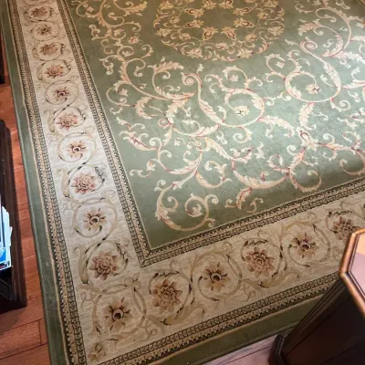 Rochester Cactus By Rochester Area Rug 