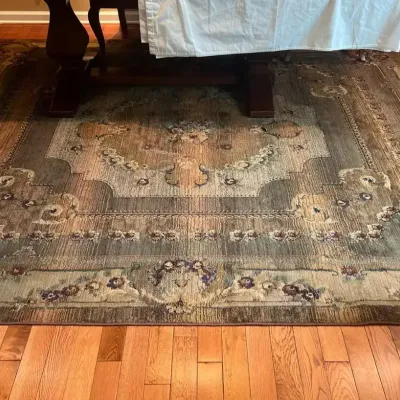 Venice Topaz Area Rug