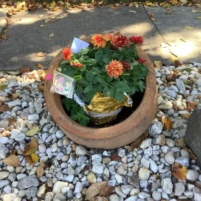 Large Clay Flower Pot