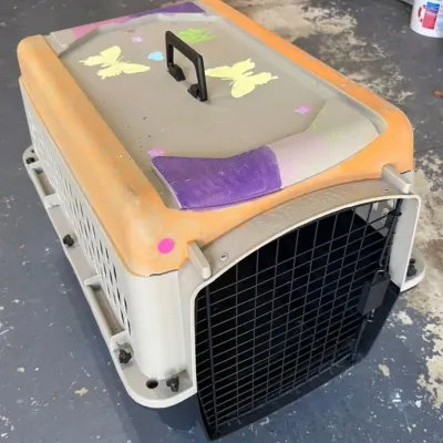 Top Paw Travel Dog Crate