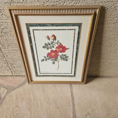 Framed botanical print of red roses after Pierre-Joseph Redouté, presented in a double mat with a gold-finished ornate frame.