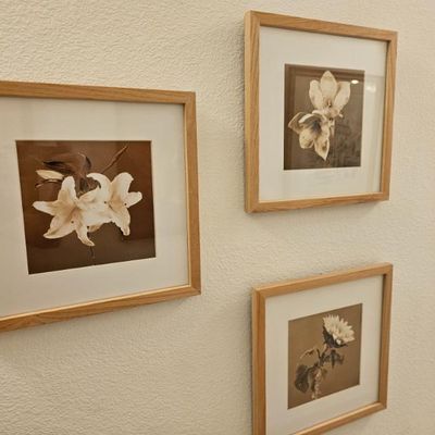 Trio of framed sepia-toned floral art prints, matted in light wood frames.
