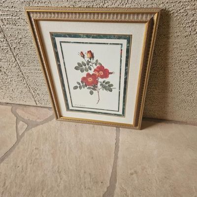 Framed botanical print depicting red roses, presented in a double mat with a green marbled accent and a decorative gold-finished frame.