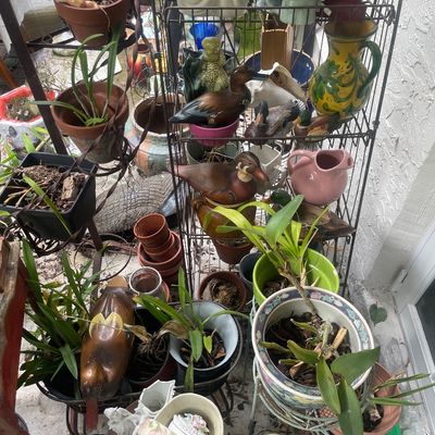 Sale Photo Thumbnail #20
