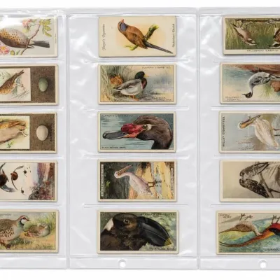 Sale Photo Thumbnail #267