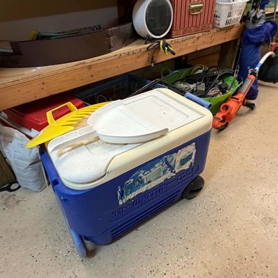 Lot 24: Black & Decker Trimmer, Storage Shelves & Hand Tools