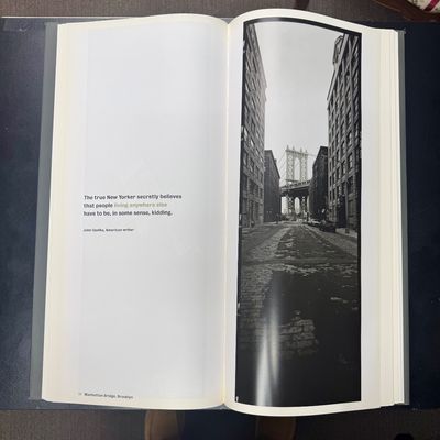 "New York Vertical" Photography Book by Horst Hamann (1997)