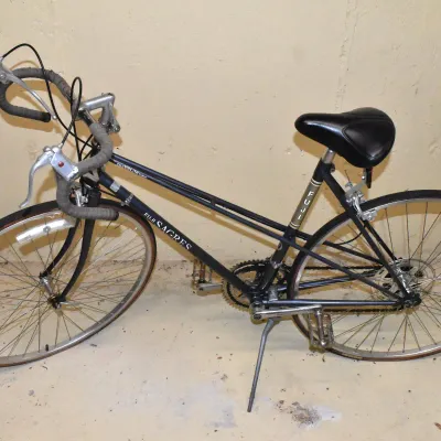 Fuji Bicycle