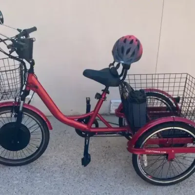 Cozy Trikes Prowheel Electric Trike