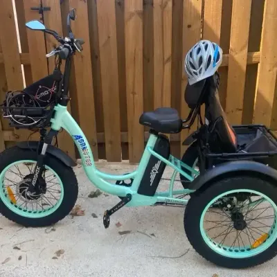 Addmotor Electric Fat-Tire Tricycle