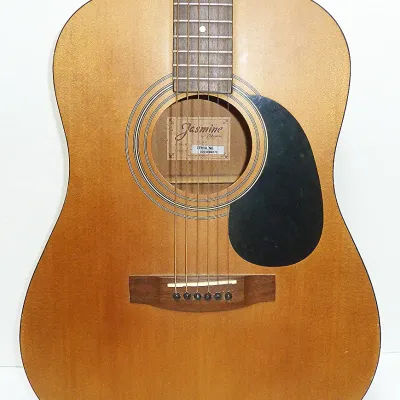 Jasmine guitar, musical instrument