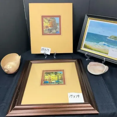 Framed Art & Shell Collection