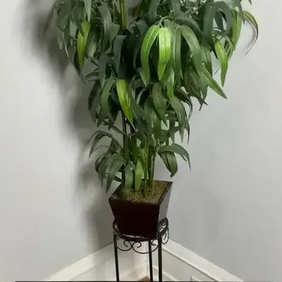 Faux Bamboo Plant with Tree Art