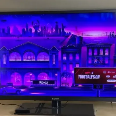 Sanyo Flat Screen TV With Remote