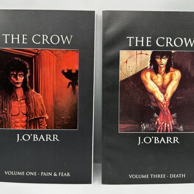 Tundra Publishing The Crow Volume One and Volume Three (1992) - James O'Barr story and art