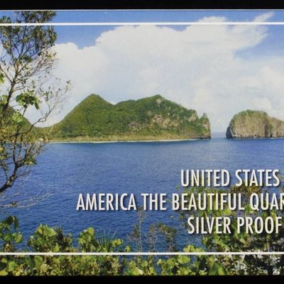 Sale Photo Thumbnail #304: 2020 QUARTER SILVER PROOF SET