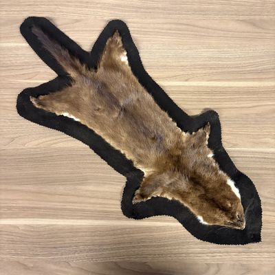 Vintage Mink Pelt Taxidermy Rug