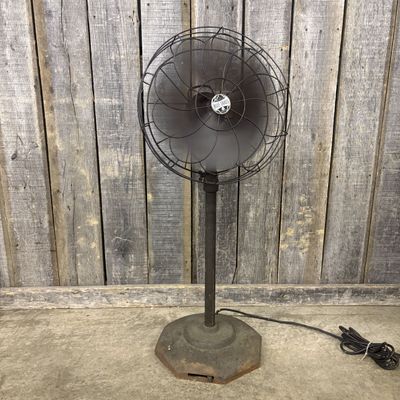 Belknap Blue Grass Pedestal Floor Fan