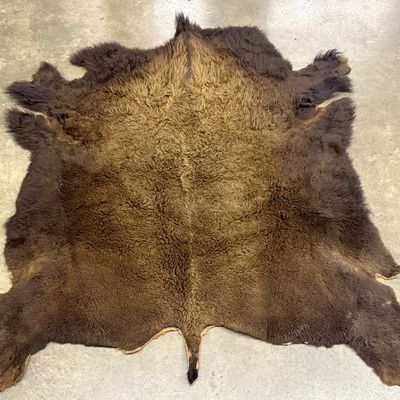 Large American Bison Hide Rug