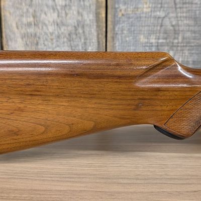 Ted Williams Model 300 12 Gauge Semi-Automatic Shotgun