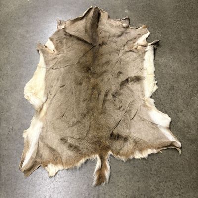 Tanned Whitetail Deer Hide Rug