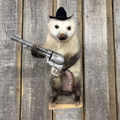 Novelty Anthropomorphic Taxidermy Cowboy Opossum Mount
