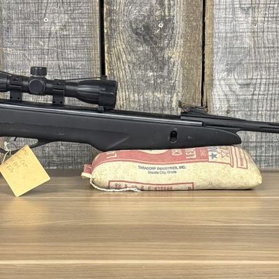Gamo Silent Cat .177 Caliber Break Barrel Air Rifle with Scope
