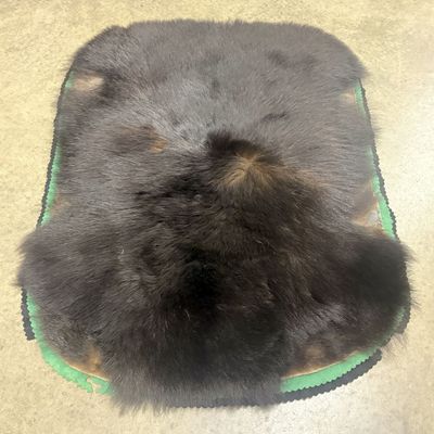 Vintage Black Bear Pelt Rug with Double Scalloped Felt Backing