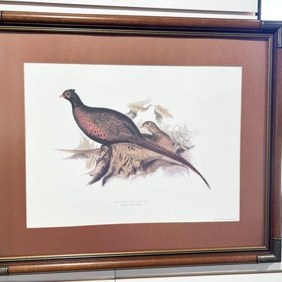 EDWARD LEAR COMMON PHEASANT LITHOGRAPH
