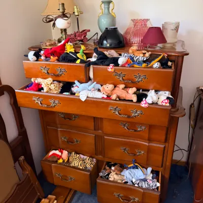  Hundreds of Beanie Babies