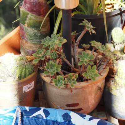 Sale Photo Thumbnail #172