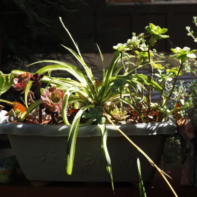 Sale Photo Thumbnail #183