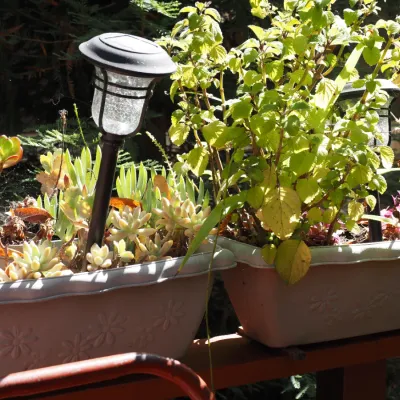 Sale Photo Thumbnail #177