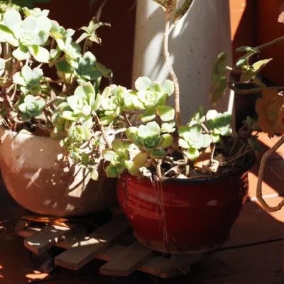 Sale Photo Thumbnail #176