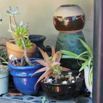 Sale Photo Thumbnail #181