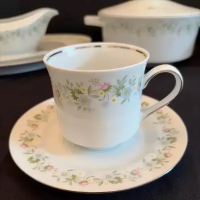 Johann Haviland “Forever Spring” 12-piece China Set With Serving Pieces
