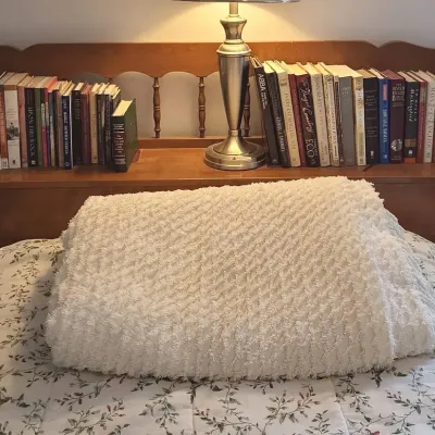 Twin Bookshelf Headboard