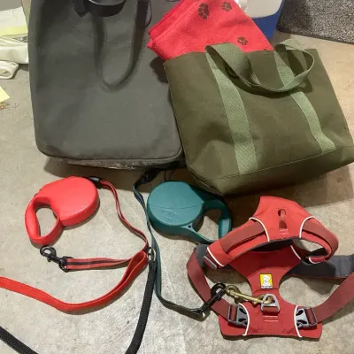 Dark Green Filson Bag With Smaller Green Bag, Doggie Dryer, Pet Leashes+ Harness